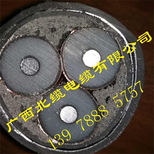 m.519ab.com