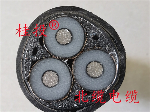 m.519ab.com