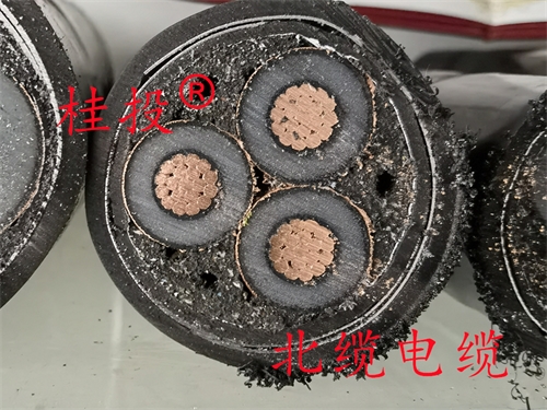 m.519ab.com