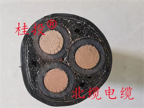 m.519ab.com