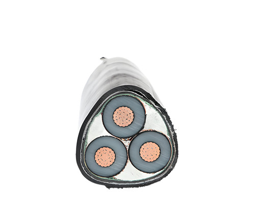 m.519ab.com